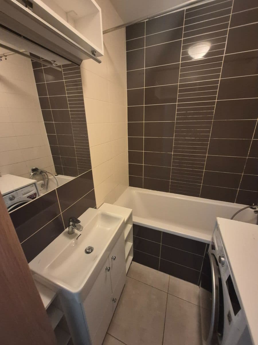 1 bedroom with open-plan kitchen flat to rent, 63 m², Harlacherova, Prague, Prague 1 bedroom with open-plan kitchen flat to rent, 63 m², Harlacherova, Prague, Prague