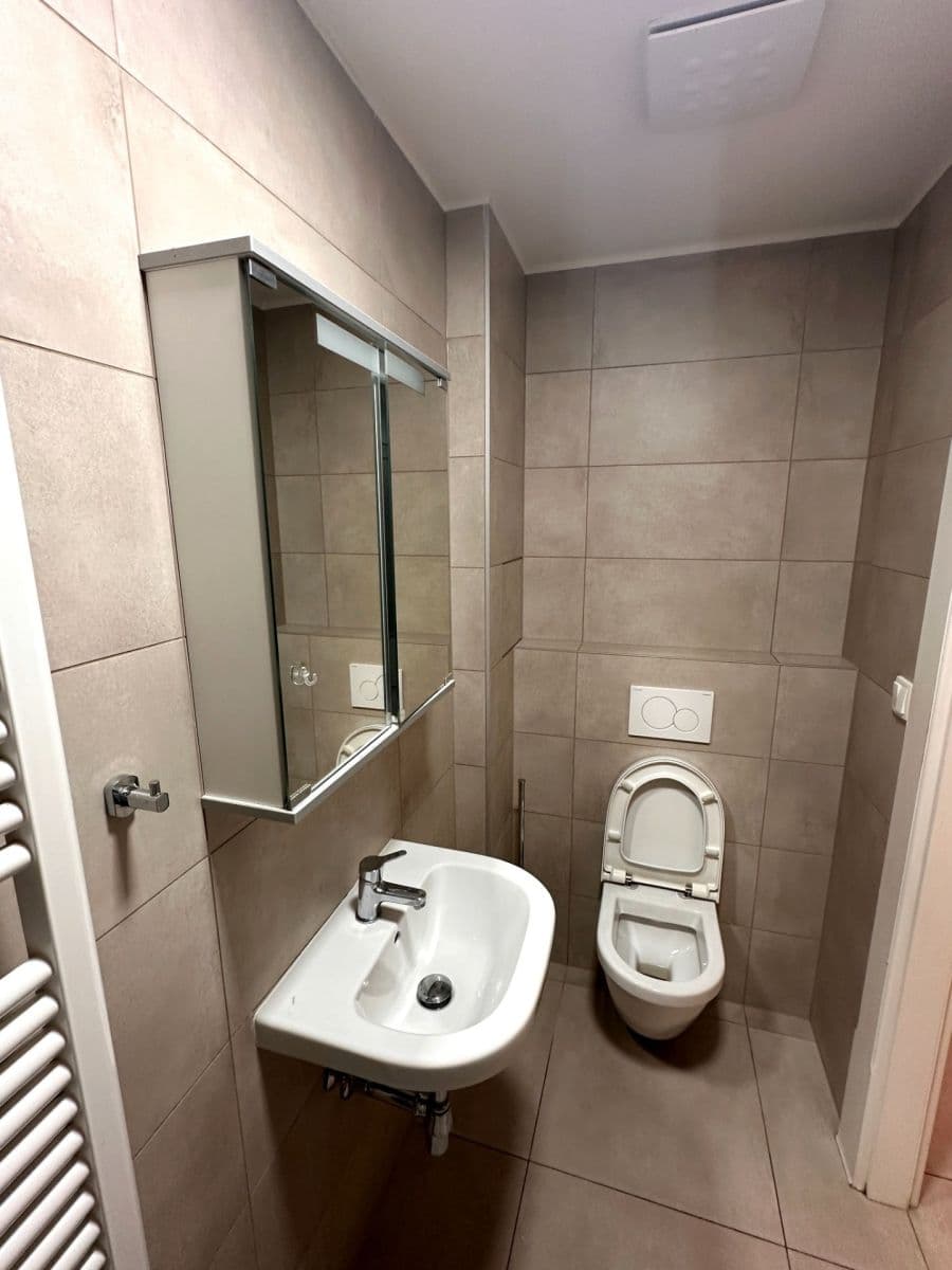 1 bedroom with open-plan kitchen flat to rent, 50 m², Kotevní, Prague, Prague 1 bedroom with open-plan kitchen flat to rent, 50 m², Kotevní, Prague, Prague
