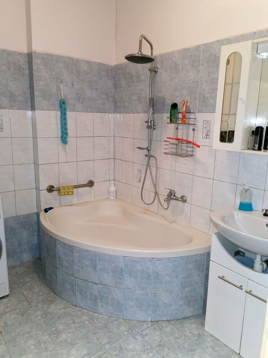 1 bedroom with open-plan kitchen flat for sale, 51 m², Biskupcova, Prague, Prague 1 bedroom with open-plan kitchen flat for sale, 51 m², Biskupcova, Prague, Prague