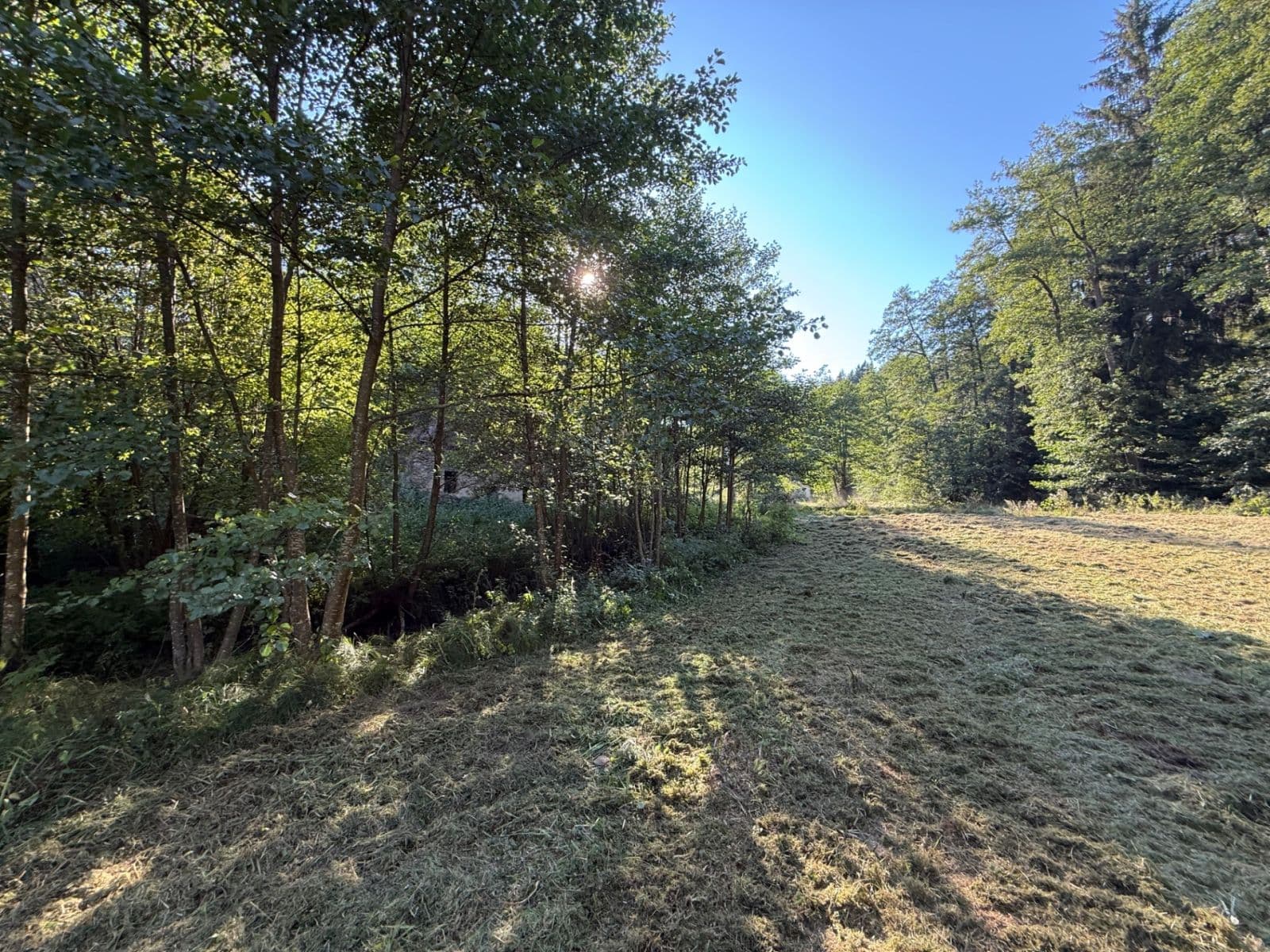 plot for sale, 8,551 m², Malšín, Jihočeský Region plot for sale, 8,551 m², Malšín, Jihočeský Region