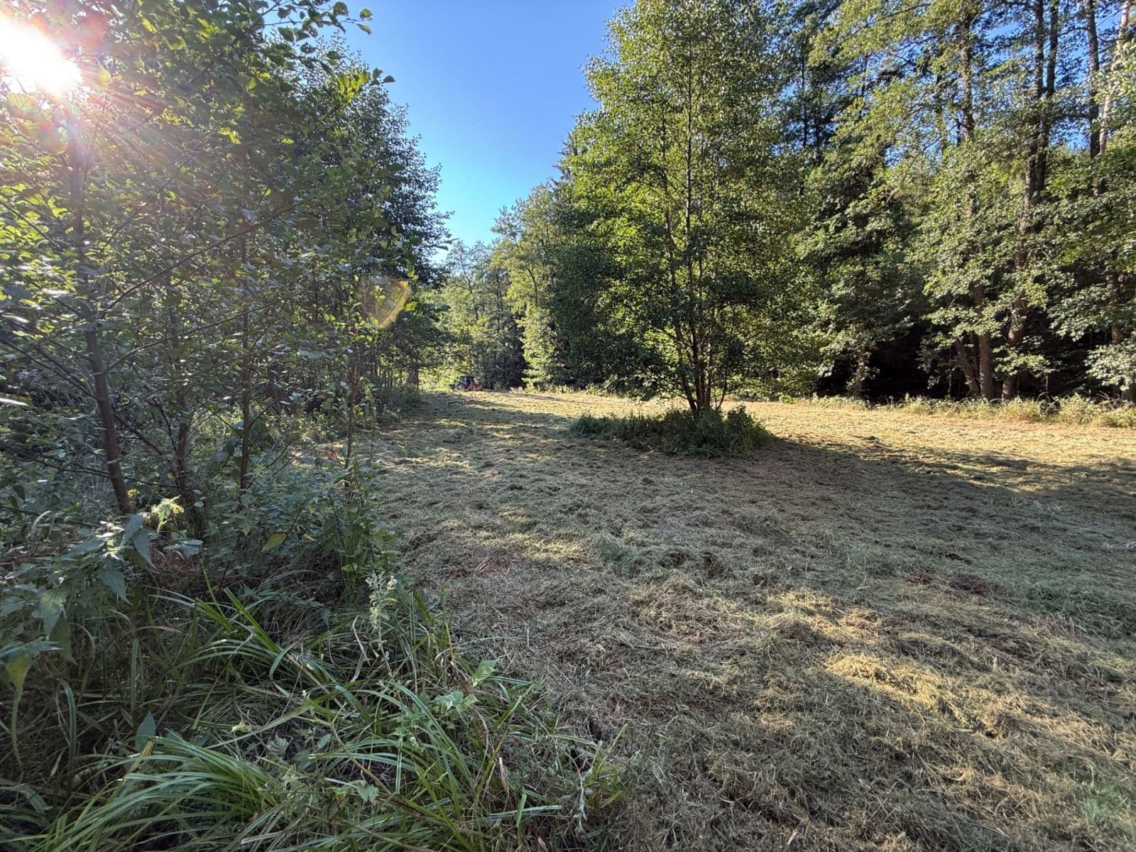 plot for sale, 8,551 m², Malšín, Jihočeský Region plot for sale, 8,551 m², Malšín, Jihočeský Region