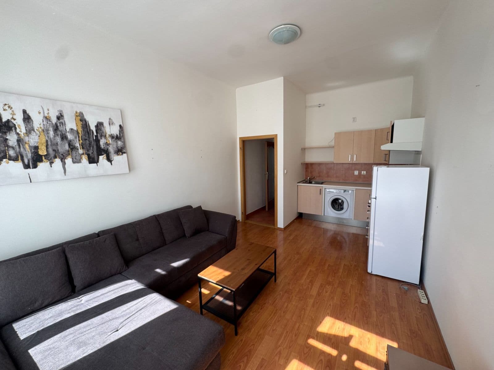1 bedroom with open-plan kitchen flat to rent, 40 m², Marie Cibulkové, Prague, Prague 1 bedroom with open-plan kitchen flat to rent, 40 m², Marie Cibulkové, Prague, Prague