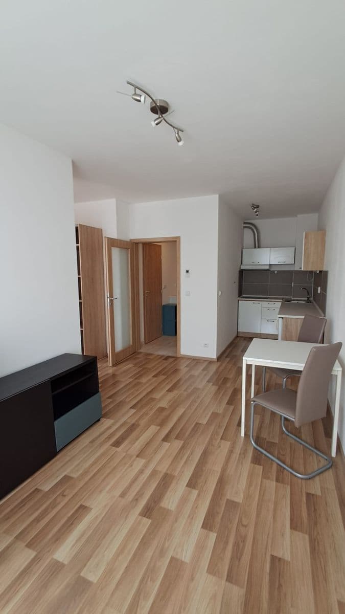 Studio flat to rent, 36 m², Ke Kříži, Prague, Prague Studio flat to rent, 36 m², Ke Kříži, Prague, Prague