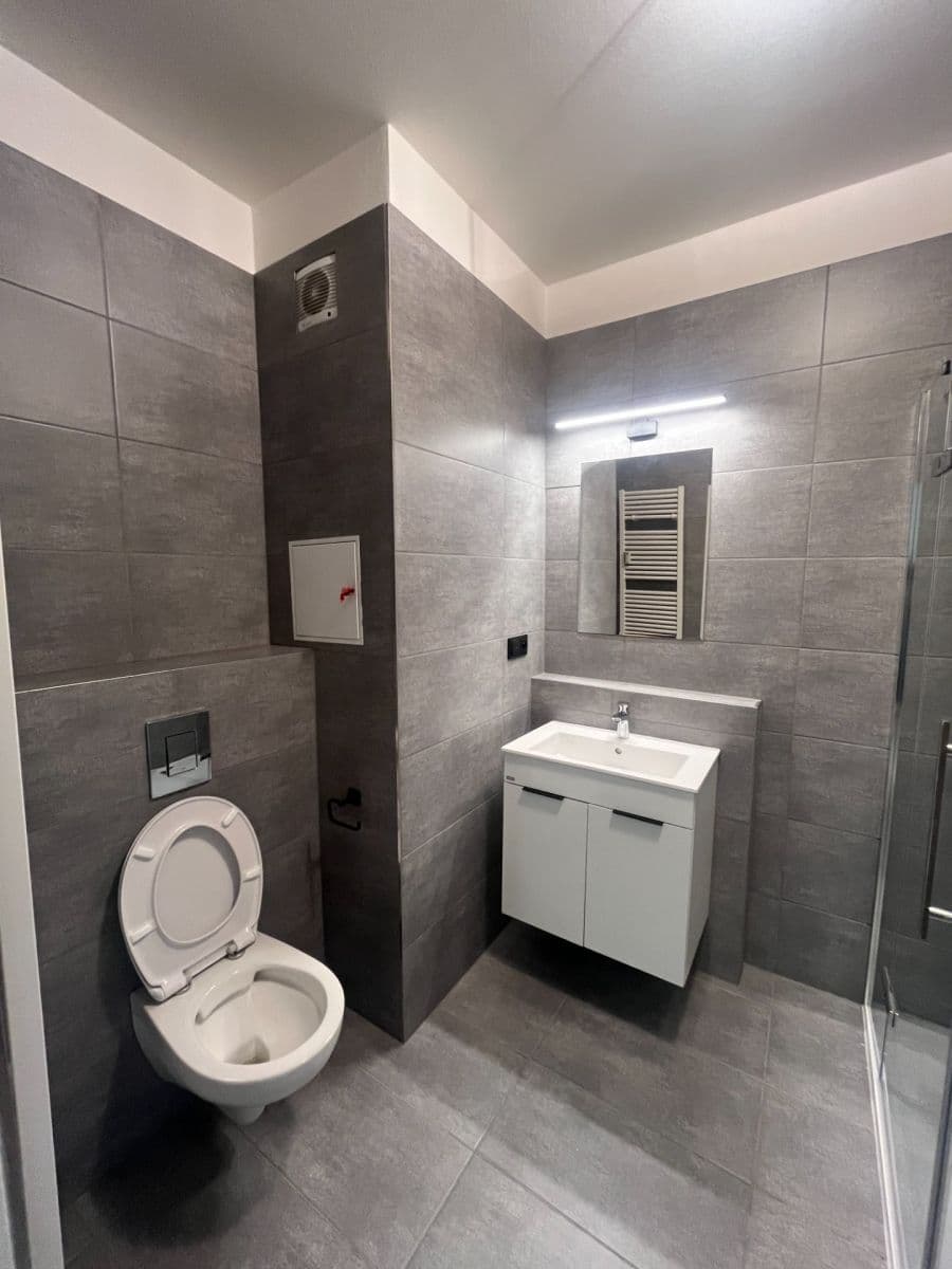 1 bedroom with open-plan kitchen flat to rent, 52 m², Velenovského, Prague, Prague 1 bedroom with open-plan kitchen flat to rent, 52 m², Velenovského, Prague, Prague