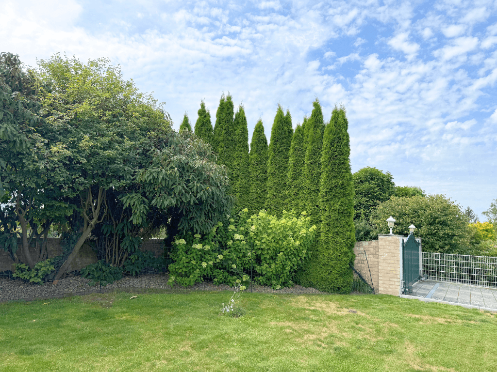 house for sale, 400 m², Bienenbüttel, Lower Saxony house for sale, 400 m², Bienenbüttel, Lower Saxony