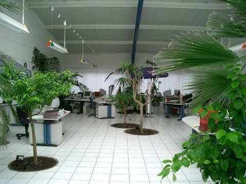 non-residential property to rent, 720 m², Industriegebiet 14, Gersheim, Saarland non-residential property to rent, 720 m², Industriegebiet 14, Gersheim, Saarland