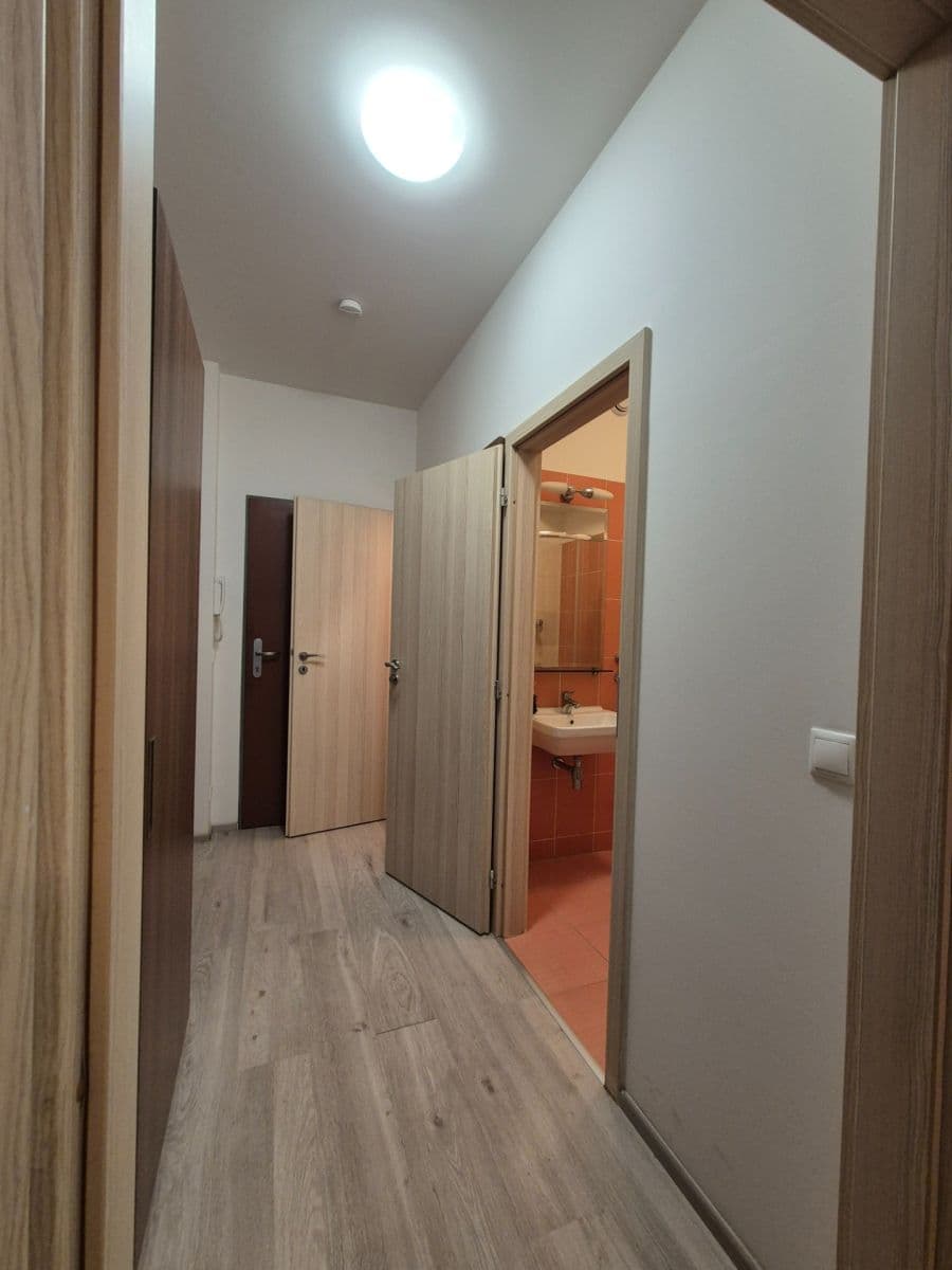 Studio flat to rent, 33 m², Freyova, Prague, Prague Studio flat to rent, 33 m², Freyova, Prague, Prague