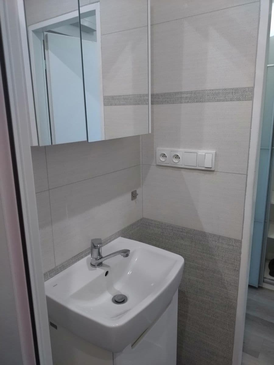 Studio flat to rent, 30 m², Černého, Prague, Prague Studio flat to rent, 30 m², Černého, Prague, Prague