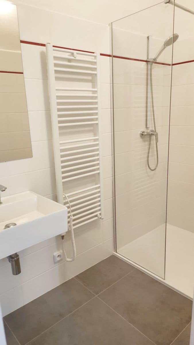 1 bedroom with open-plan kitchen flat to rent, 53 m², Veletržní, Prague, Prague 1 bedroom with open-plan kitchen flat to rent, 53 m², Veletržní, Prague, Prague