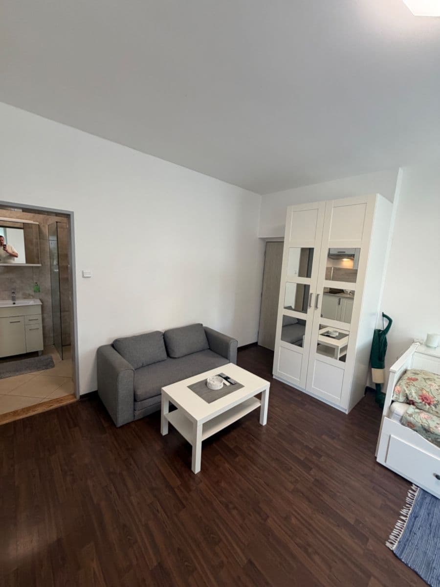 Studio flat to rent, 40 m², Božanovská, Prague, Prague Studio flat to rent, 40 m², Božanovská, Prague, Prague