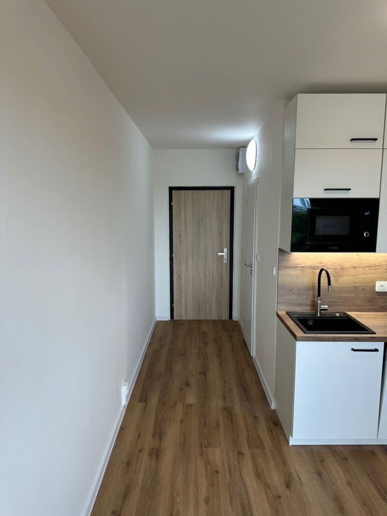 Studio flat to rent, 20 m², Štúrova, Prague, Prague Studio flat to rent, 20 m², Štúrova, Prague, Prague