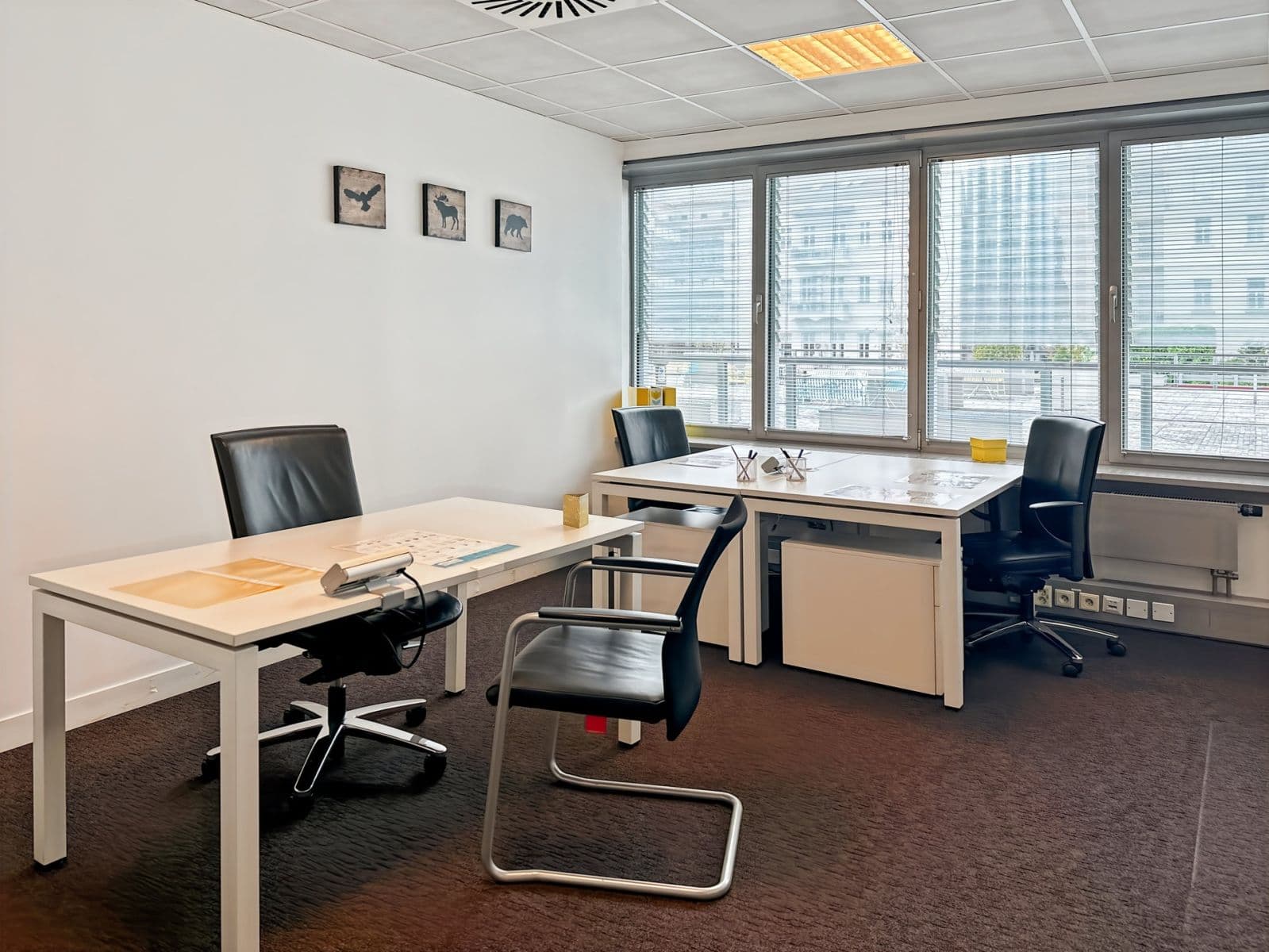 office to rent, 10 m², Malá Morava, Olomoucký Region office to rent, 10 m², Malá Morava, Olomoucký Region