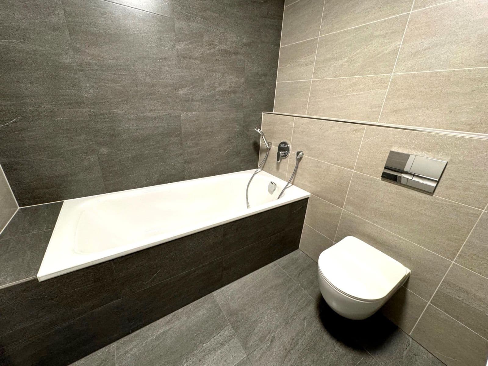 1 bedroom with open-plan kitchen flat to rent, 55 m², V Třešňovce, Prague, Prague 1 bedroom with open-plan kitchen flat to rent, 55 m², V Třešňovce, Prague, Prague