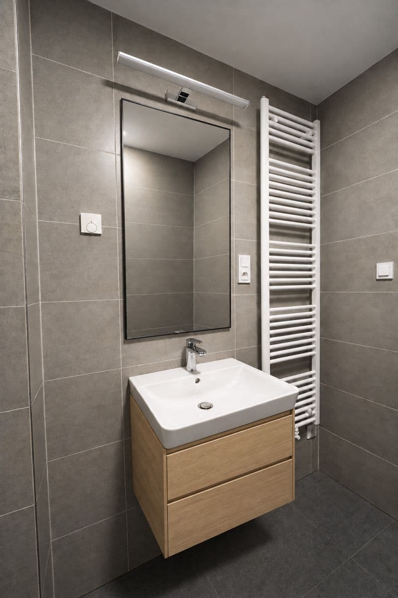 1 bedroom with open-plan kitchen flat to rent, 55 m², V Třešňovce, Prague, Prague 1 bedroom with open-plan kitchen flat to rent, 55 m², V Třešňovce, Prague, Prague