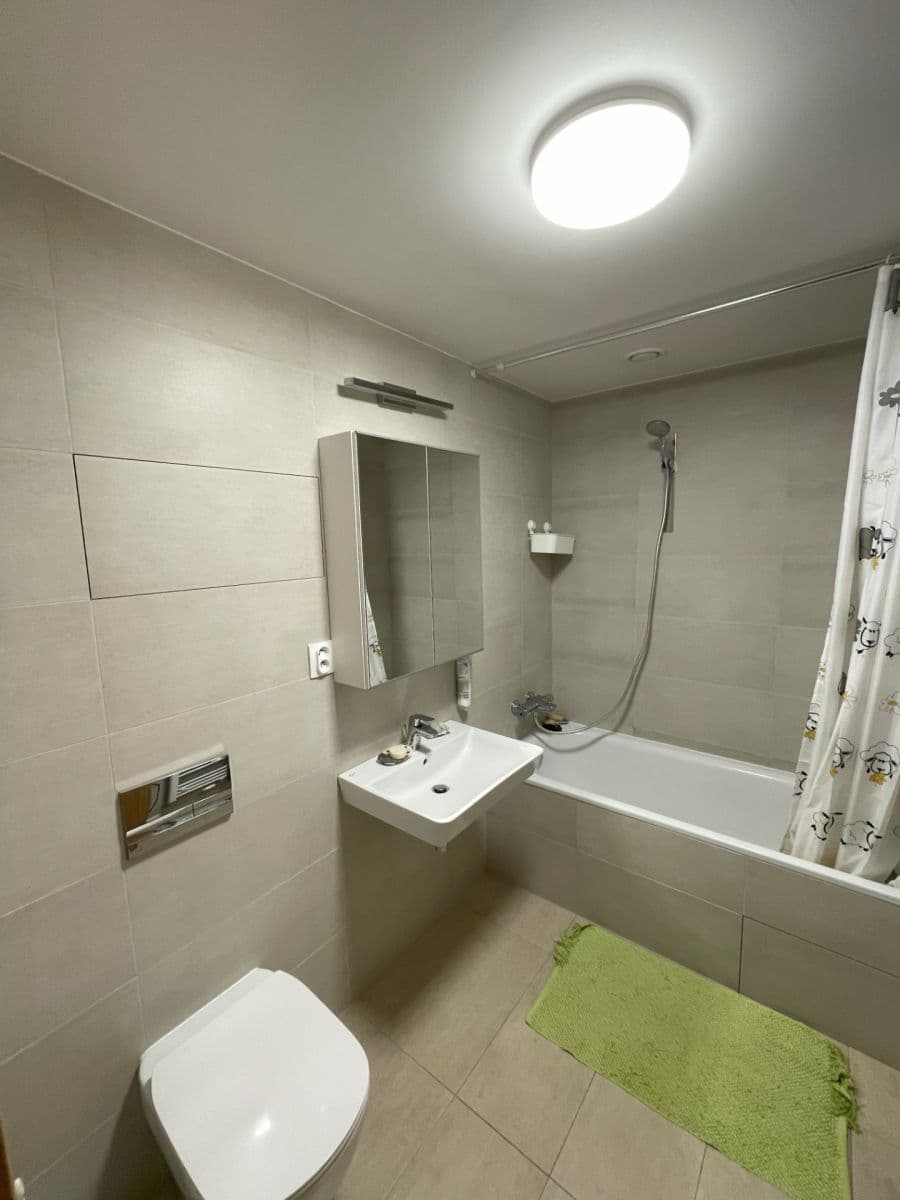 1 bedroom with open-plan kitchen flat to rent, 59 m², Vrátnická, Prague, Prague 1 bedroom with open-plan kitchen flat to rent, 59 m², Vrátnická, Prague, Prague