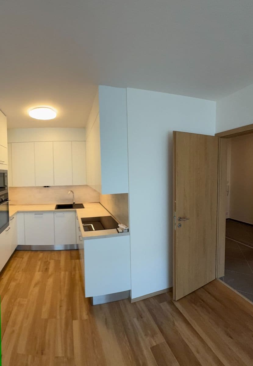 1 bedroom with open-plan kitchen flat to rent, 53 m², Návarovská, Prague, Prague 1 bedroom with open-plan kitchen flat to rent, 53 m², Návarovská, Prague, Prague