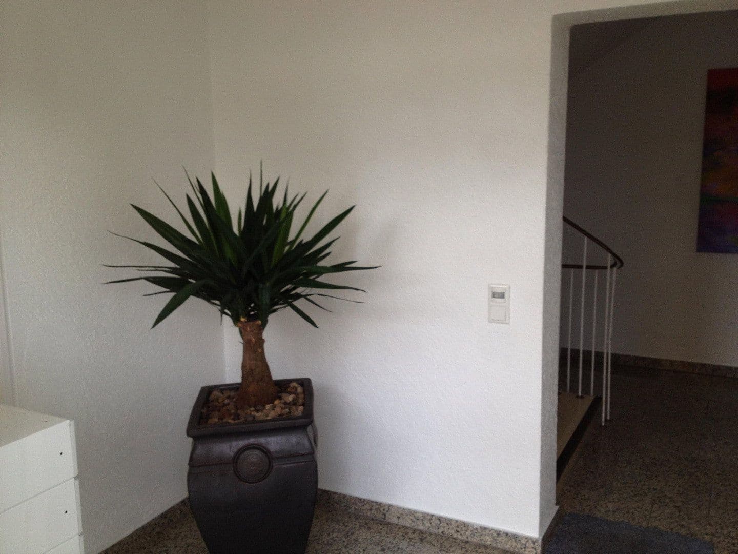 2 bedroom flat to rent, 50 m², Unter den Linden 0, Horn-Bad Meinberg, North Rhine-Westphalia 2 bedroom flat to rent, 50 m², Unter den Linden 0, Horn-Bad Meinberg, North Rhine-Westphalia