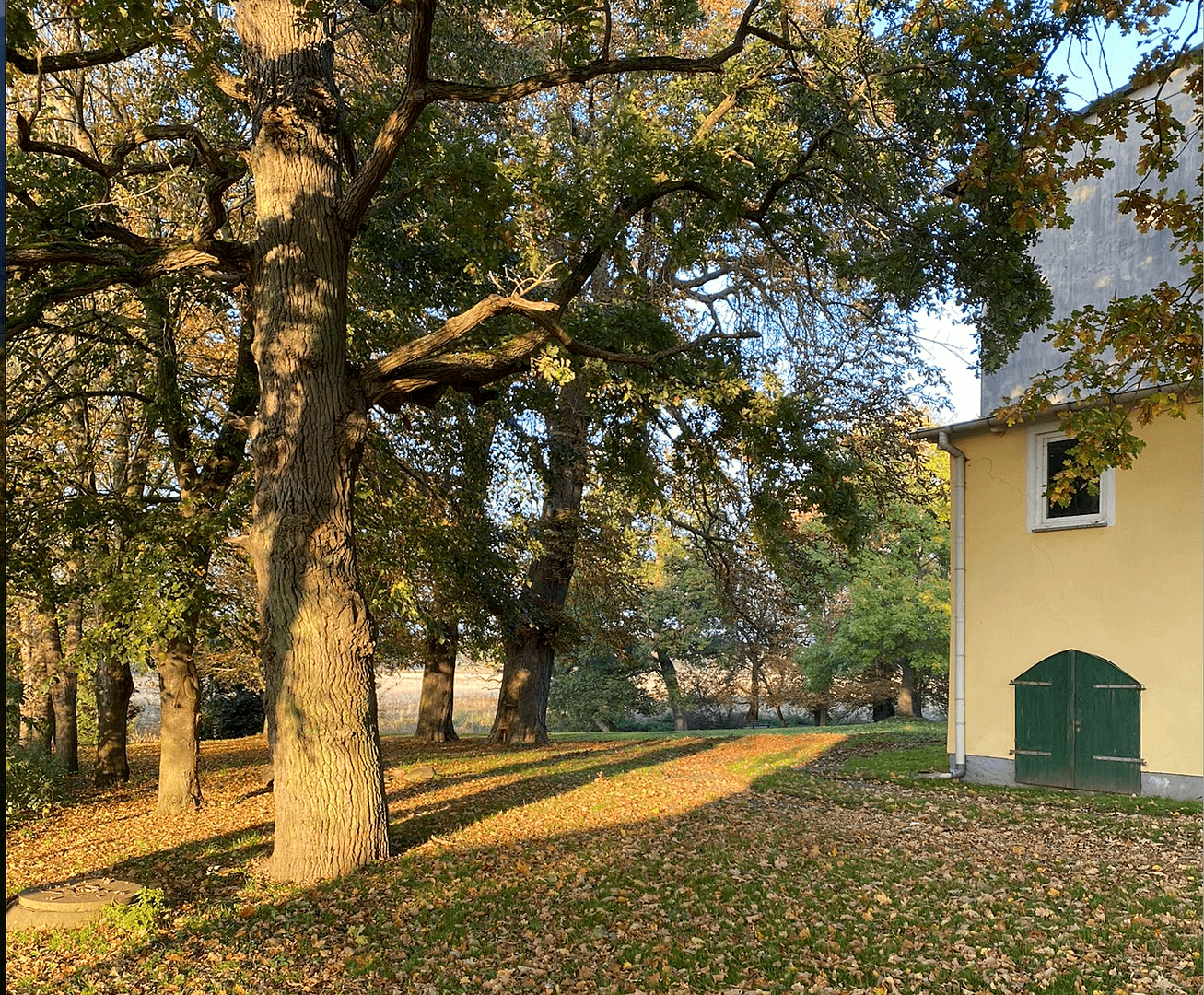 non-residential property for sale, 54,900 m², Gransebieth, Mecklenburg-Vorpommern non-residential property for sale, 54,900 m², Gransebieth, Mecklenburg-Vorpommern