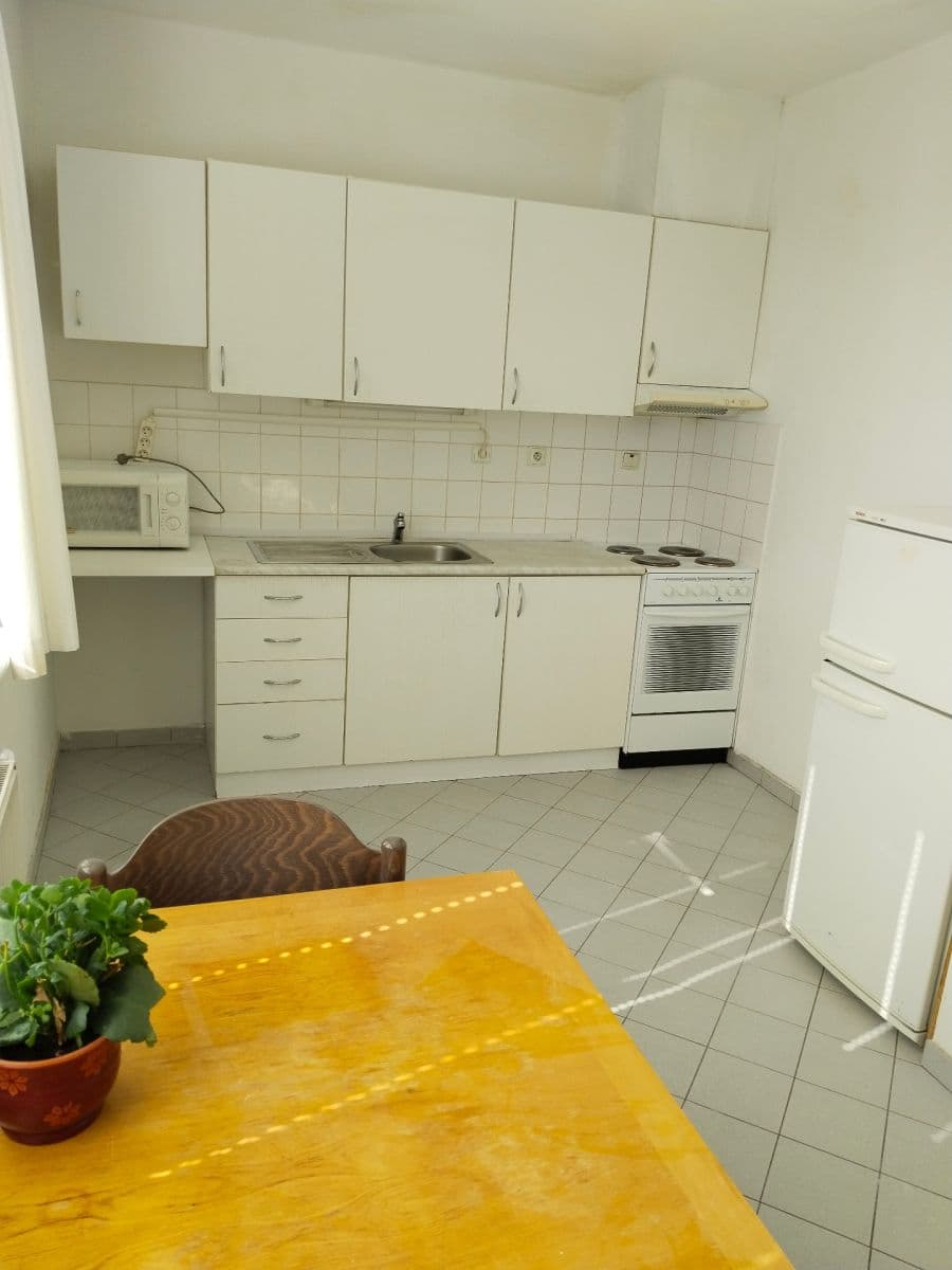 Studio flat to rent, 46 m², Na Ohradě, Prague, Prague Studio flat to rent, 46 m², Na Ohradě, Prague, Prague