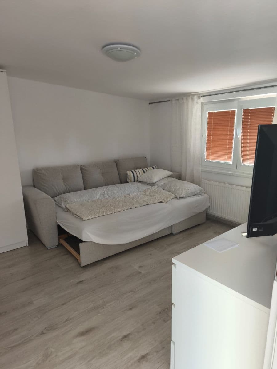 1 bedroom with open-plan kitchen flat to rent, 35 m², Dělnická, Dolní Břežany, Středočeský Region 1 bedroom with open-plan kitchen flat to rent, 35 m², Dělnická, Dolní Břežany, Středočeský Region
