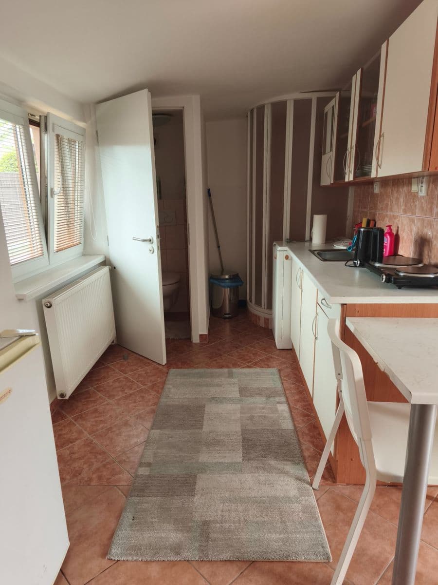 1 bedroom with open-plan kitchen flat to rent, 35 m², Dělnická, Dolní Břežany, Středočeský Region 1 bedroom with open-plan kitchen flat to rent, 35 m², Dělnická, Dolní Břežany, Středočeský Region