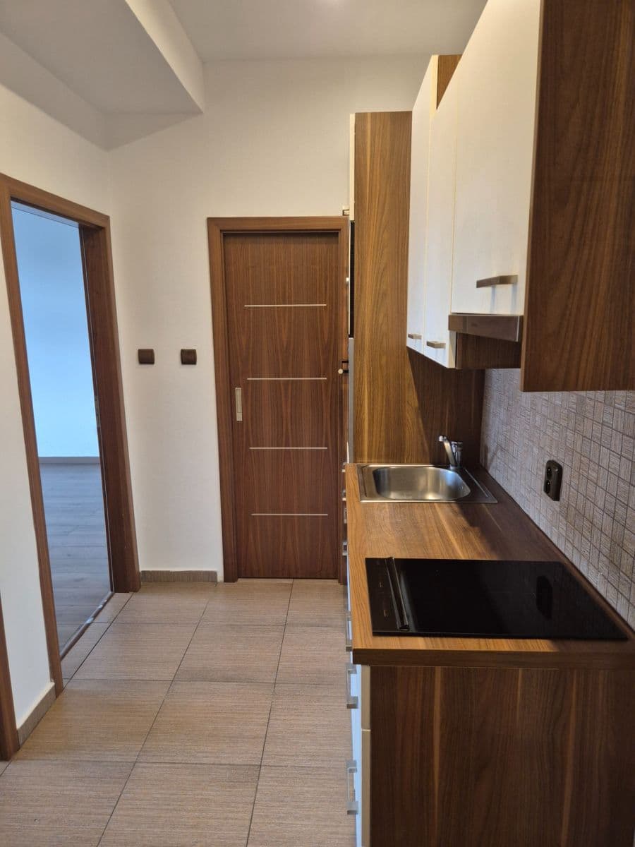 1 bedroom with open-plan kitchen flat for sale, 45 m², Ruská, Prague, Prague 1 bedroom with open-plan kitchen flat for sale, 45 m², Ruská, Prague, Prague