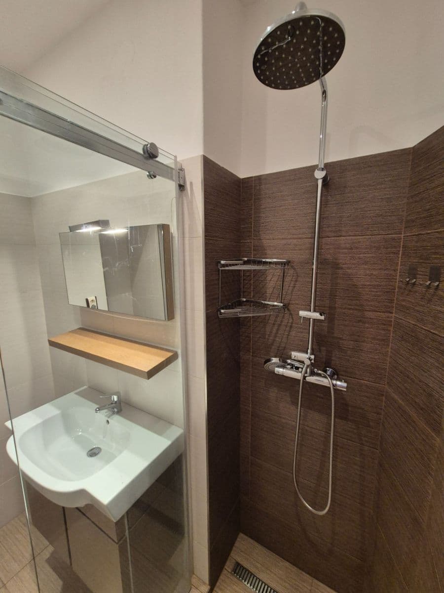 1 bedroom with open-plan kitchen flat for sale, 45 m², Ruská, Prague, Prague 1 bedroom with open-plan kitchen flat for sale, 45 m², Ruská, Prague, Prague