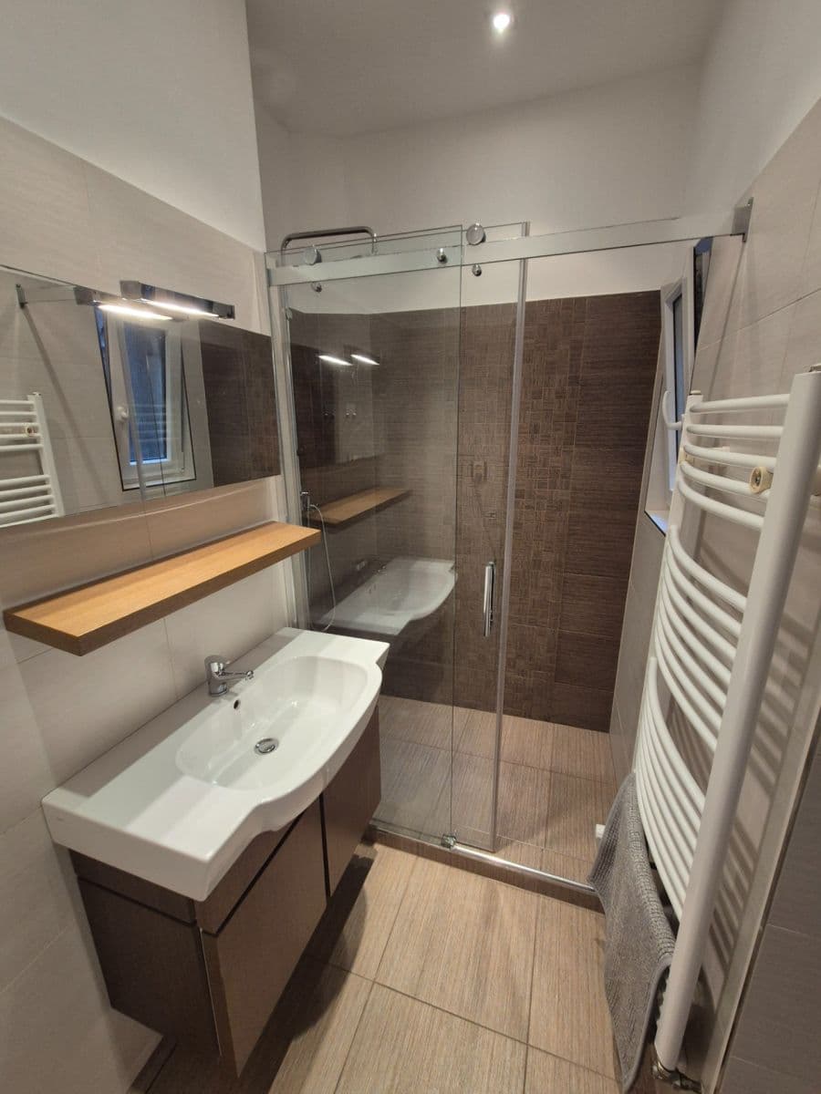 1 bedroom with open-plan kitchen flat for sale, 45 m², Ruská, Prague, Prague 1 bedroom with open-plan kitchen flat for sale, 45 m², Ruská, Prague, Prague