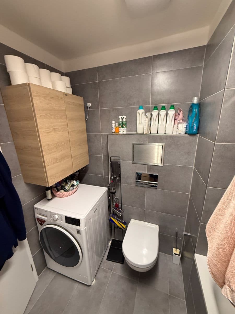 1 bedroom with open-plan kitchen flat to rent, 50 m², Strnadových, Prague, Prague 1 bedroom with open-plan kitchen flat to rent, 50 m², Strnadových, Prague, Prague