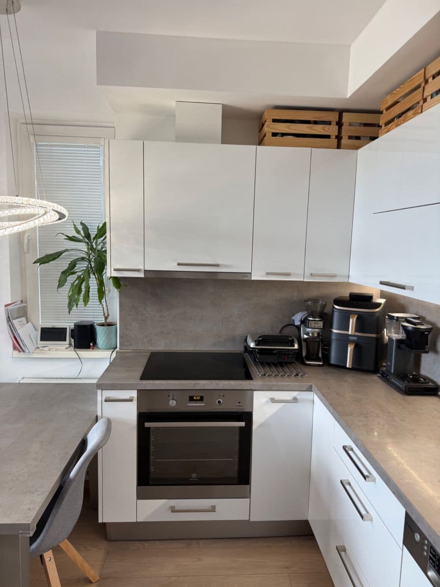 1 bedroom with open-plan kitchen flat to rent, 50 m², Strnadových, Prague, Prague 1 bedroom with open-plan kitchen flat to rent, 50 m², Strnadových, Prague, Prague