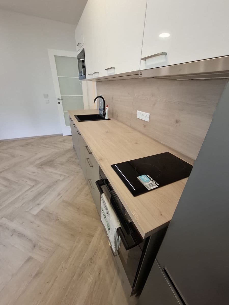 1 bedroom with open-plan kitchen flat to rent, 41 m², Plzeňská, Prague, Prague 1 bedroom with open-plan kitchen flat to rent, 41 m², Plzeňská, Prague, Prague