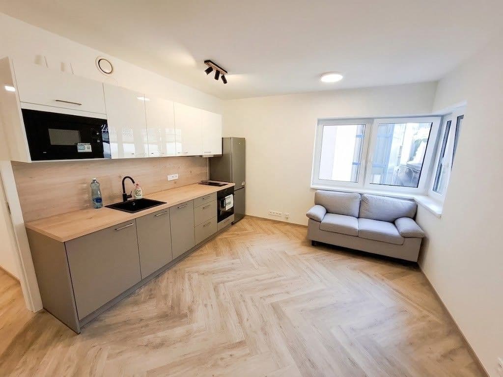 1 bedroom with open-plan kitchen flat to rent, 41 m², Plzeňská, Prague, Prague 1 bedroom with open-plan kitchen flat to rent, 41 m², Plzeňská, Prague, Prague
