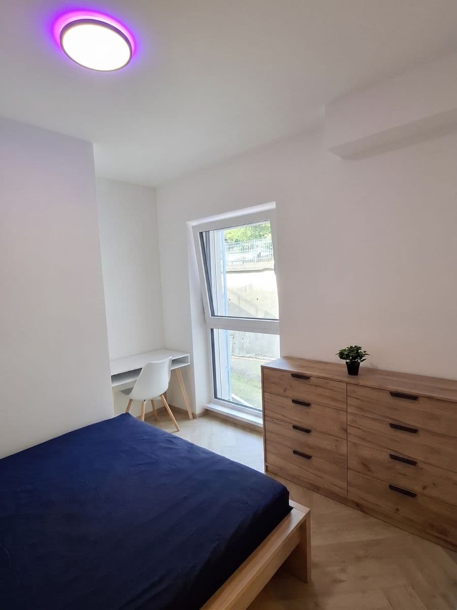 1 bedroom with open-plan kitchen flat to rent, 41 m², Plzeňská, Prague, Prague 1 bedroom with open-plan kitchen flat to rent, 41 m², Plzeňská, Prague, Prague