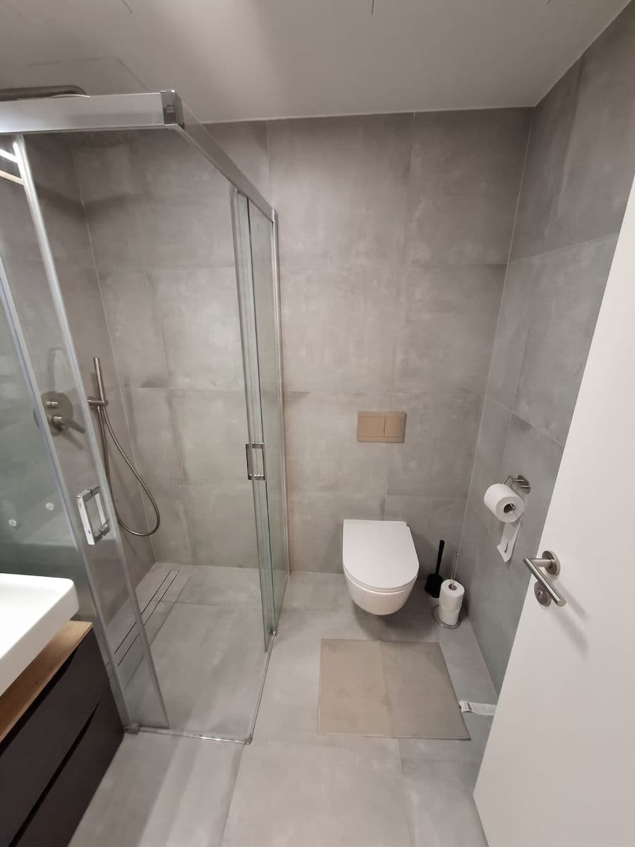 1 bedroom with open-plan kitchen flat to rent, 41 m², Plzeňská, Prague, Prague 1 bedroom with open-plan kitchen flat to rent, 41 m², Plzeňská, Prague, Prague
