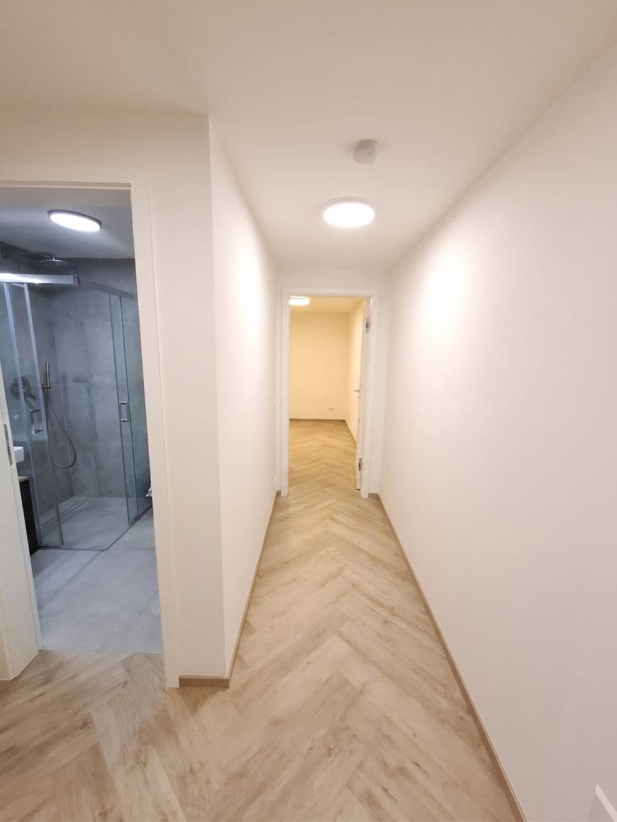 1 bedroom with open-plan kitchen flat to rent, 41 m², Plzeňská, Prague, Prague 1 bedroom with open-plan kitchen flat to rent, 41 m², Plzeňská, Prague, Prague