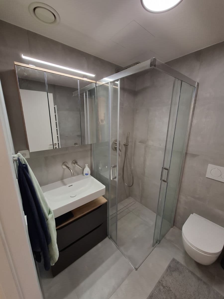 1 bedroom with open-plan kitchen flat to rent, 41 m², Plzeňská, Prague, Prague 1 bedroom with open-plan kitchen flat to rent, 41 m², Plzeňská, Prague, Prague