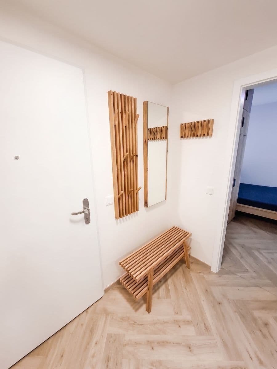 1 bedroom with open-plan kitchen flat to rent, 41 m², Plzeňská, Prague, Prague 1 bedroom with open-plan kitchen flat to rent, 41 m², Plzeňská, Prague, Prague
