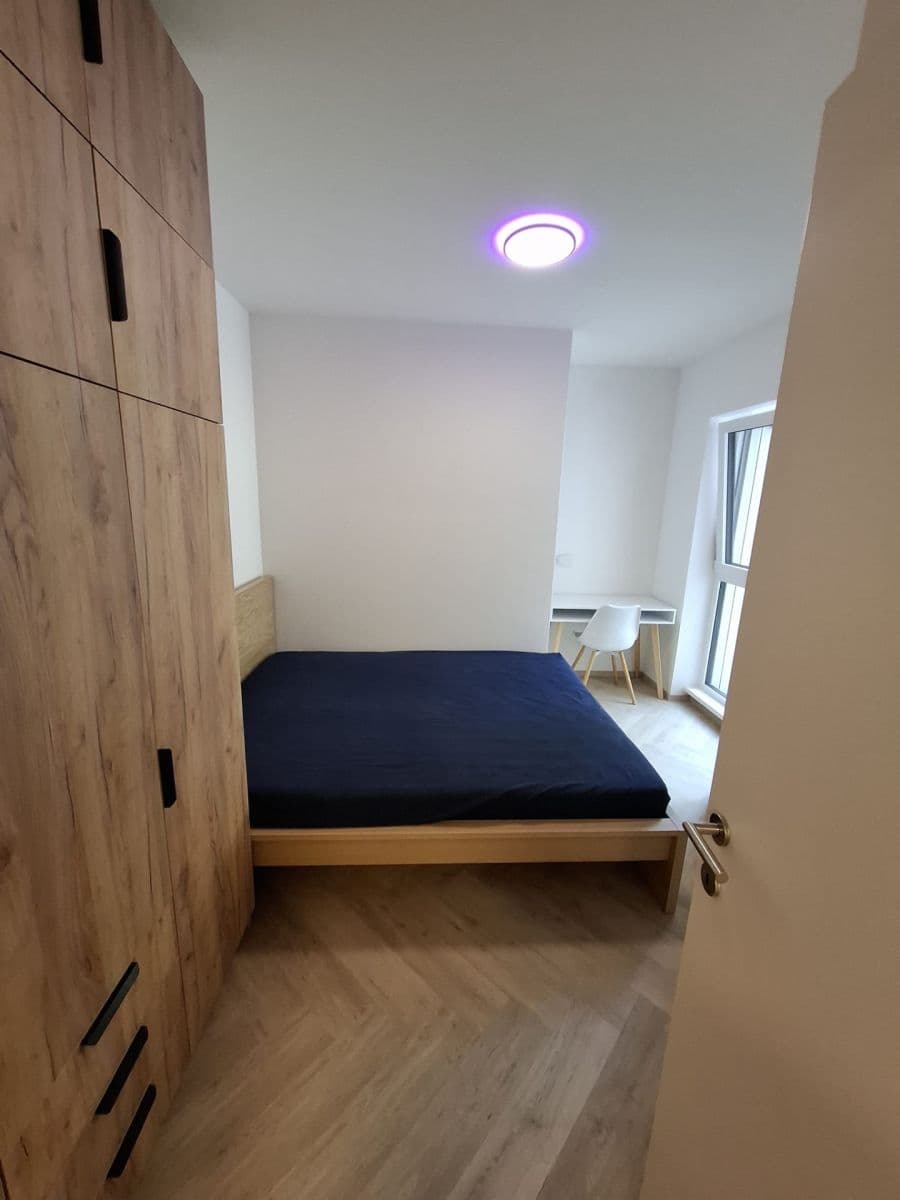 1 bedroom with open-plan kitchen flat to rent, 41 m², Plzeňská, Prague, Prague 1 bedroom with open-plan kitchen flat to rent, 41 m², Plzeňská, Prague, Prague
