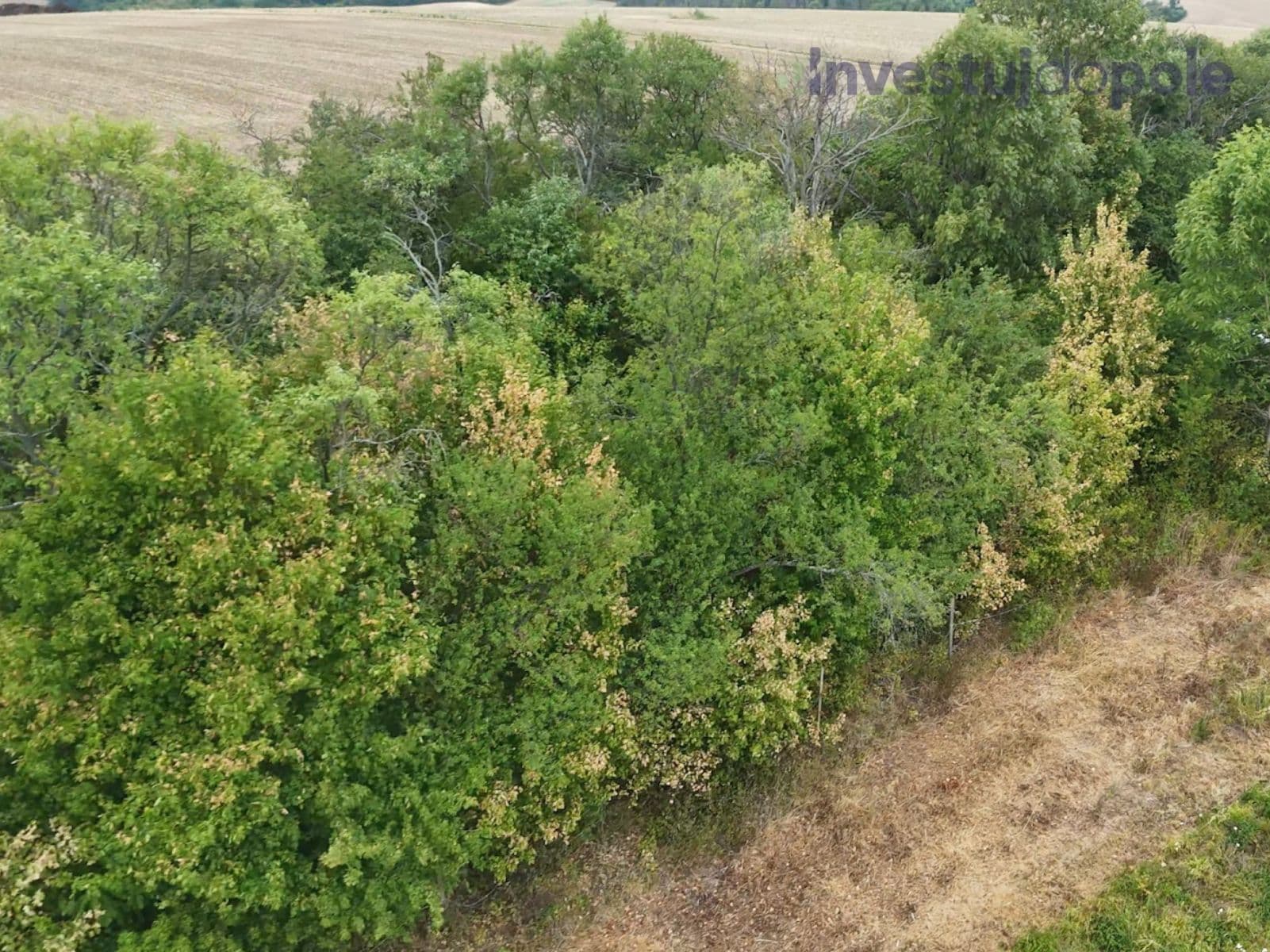 plot for sale, 2,259 m², Kunkovice, Zlínský Region plot for sale, 2,259 m², Kunkovice, Zlínský Region
