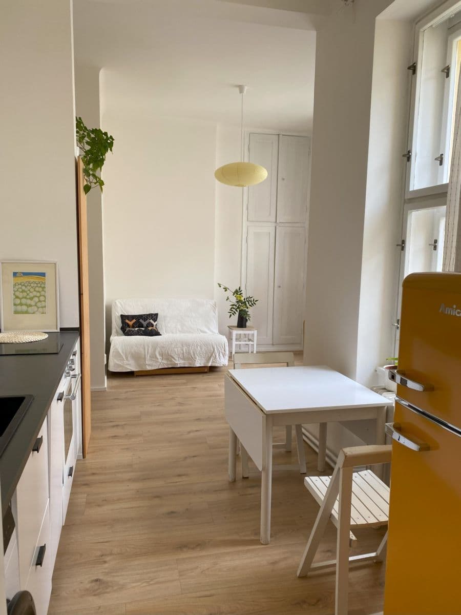 1 bedroom with open-plan kitchen flat to rent, 39 m², Jugoslávských partyzánů, Prague, Prague 1 bedroom with open-plan kitchen flat to rent, 39 m², Jugoslávských partyzánů, Prague, Prague