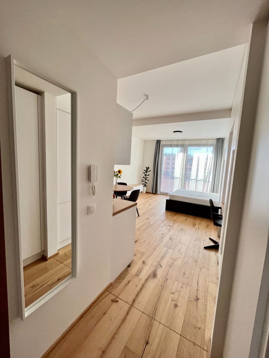 Studio flat to rent, 33 m², Křižíkova, Prague, Prague Studio flat to rent, 33 m², Křižíkova, Prague, Prague