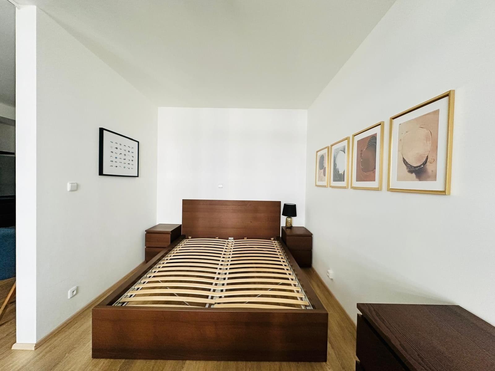 1 bedroom with open-plan kitchen flat to rent, 58 m², Makedonská, Prague, Prague 1 bedroom with open-plan kitchen flat to rent, 58 m², Makedonská, Prague, Prague