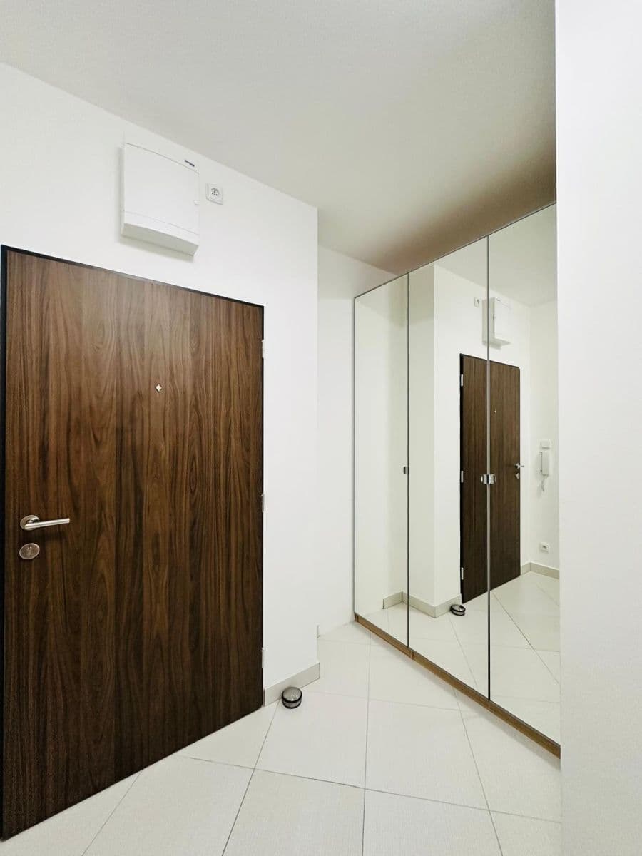 1 bedroom with open-plan kitchen flat to rent, 58 m², Makedonská, Prague, Prague 1 bedroom with open-plan kitchen flat to rent, 58 m², Makedonská, Prague, Prague