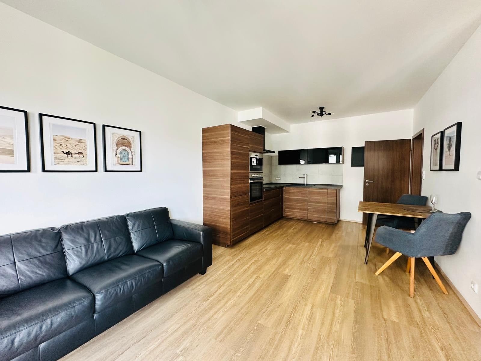 1 bedroom with open-plan kitchen flat to rent, 58 m², Makedonská, Prague, Prague 1 bedroom with open-plan kitchen flat to rent, 58 m², Makedonská, Prague, Prague