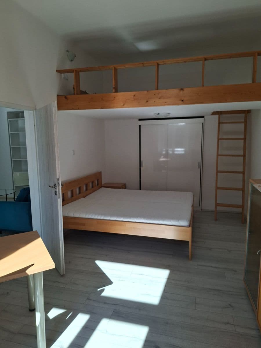 2 bedroom with open-plan kitchen flat to rent, 20 m², Pernerova, Prague, Prague 2 bedroom with open-plan kitchen flat to rent, 20 m², Pernerova, Prague, Prague