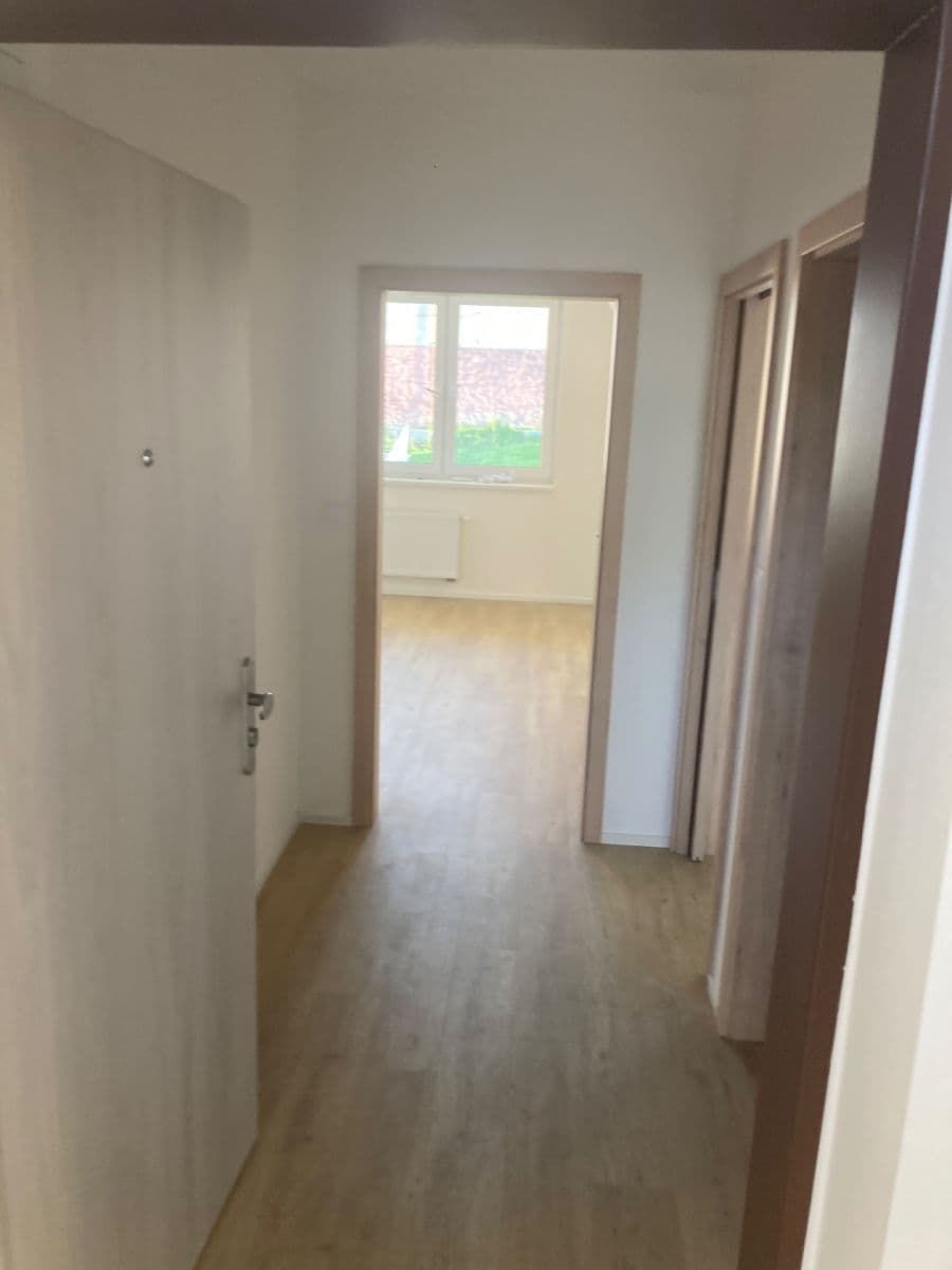 1 bedroom with open-plan kitchen flat to rent, 48 m², Horní Valy, Uherský Brod, Zlínský Region 1 bedroom with open-plan kitchen flat to rent, 48 m², Horní Valy, Uherský Brod, Zlínský Region
