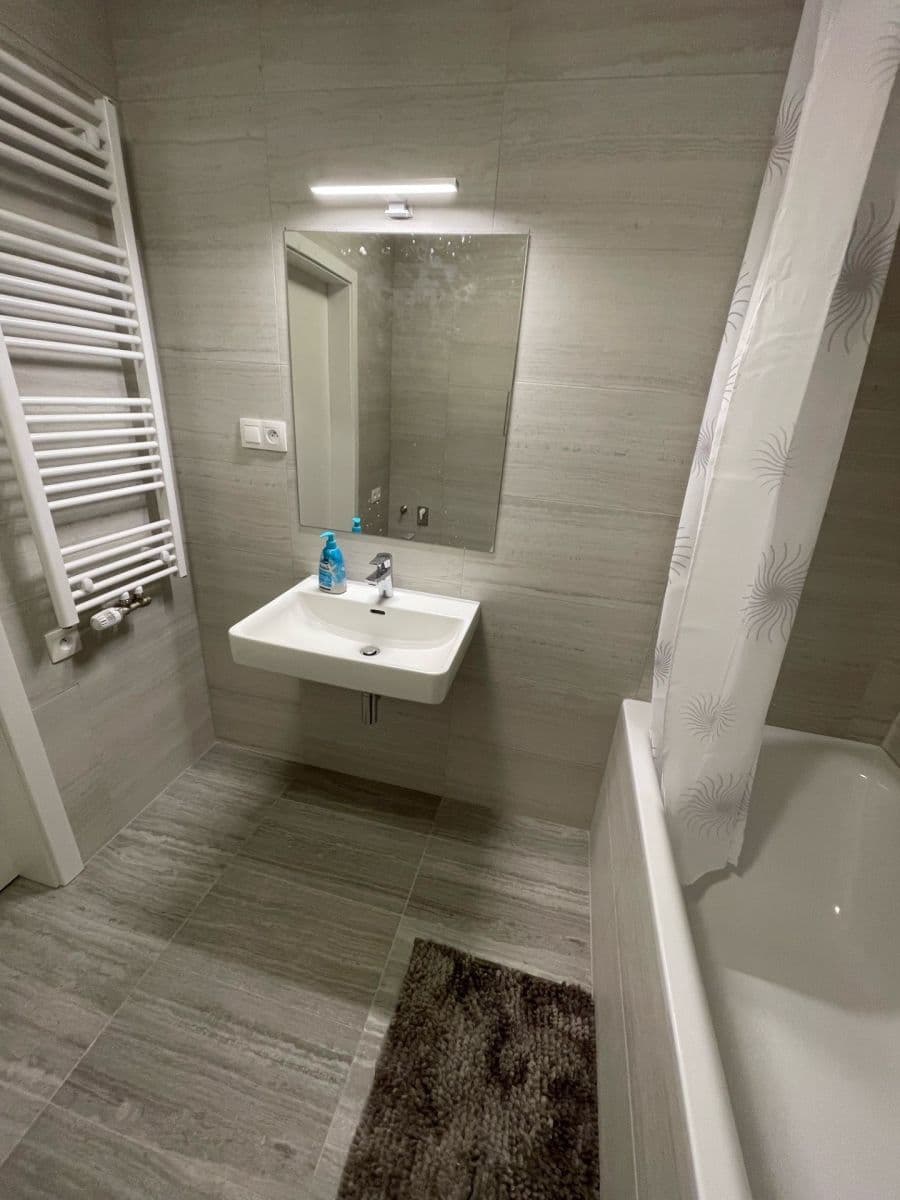 1 bedroom with open-plan kitchen flat to rent, 38 m², Breitfeldova, Prague, Prague 1 bedroom with open-plan kitchen flat to rent, 38 m², Breitfeldova, Prague, Prague