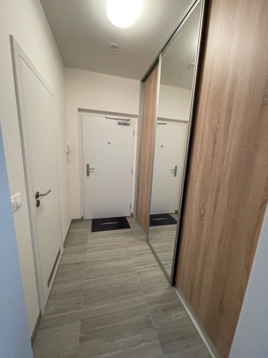 1 bedroom with open-plan kitchen flat to rent, 38 m², Breitfeldova, Prague, Prague 1 bedroom with open-plan kitchen flat to rent, 38 m², Breitfeldova, Prague, Prague