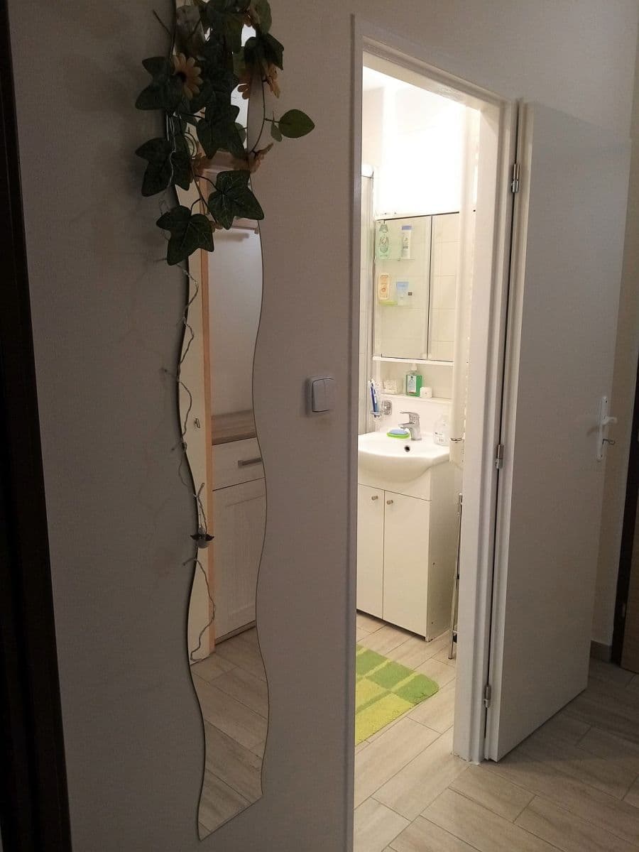 flat to rent, 30 m², Samohelova, Prague, Prague flat to rent, 30 m², Samohelova, Prague, Prague