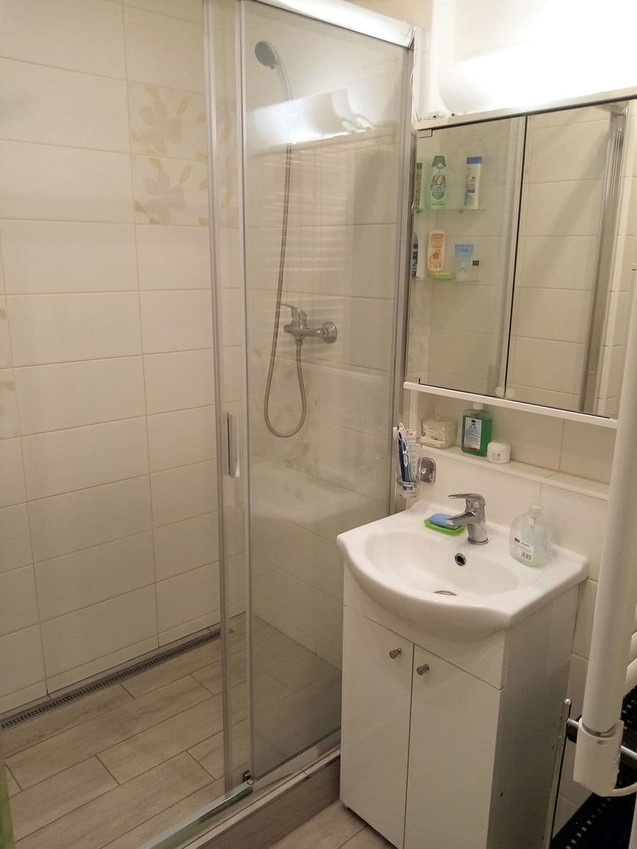 flat to rent, 30 m², Samohelova, Prague, Prague flat to rent, 30 m², Samohelova, Prague, Prague